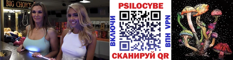Купить  Зеленоградск  Галлюциногенные грибы Psilocybe 